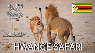 Wildlife Safari Review, Hwange in Zimbabwe, best wildlife in Africa, lions, elephants at waterhole