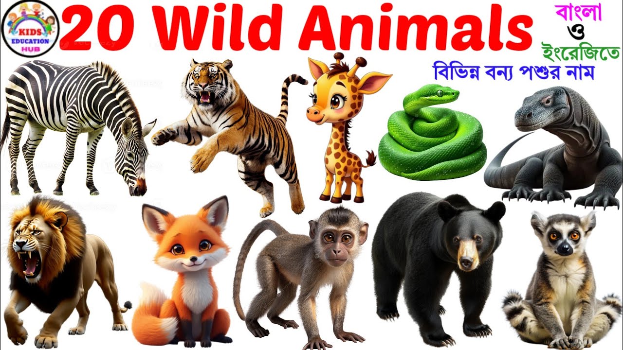 Wild Animals Name |20 Wild Animals Name in English with Pictures| Animals Vocabulary for Tollders 