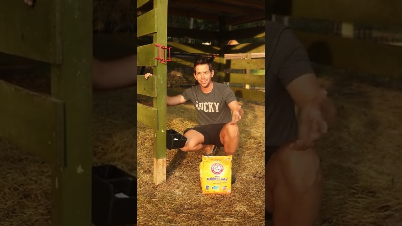 Пищевая сода для коз