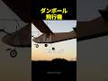 100%「ダンボール」で作った飛行機に乗って飛んでみた結果ｗ