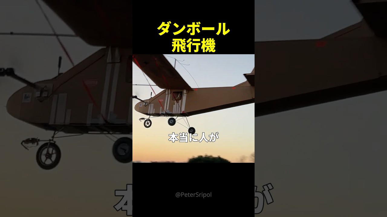 100%「ダンボール」で作った飛行機に乗って飛んでみた結果ｗ
