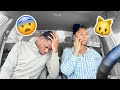 The Doctor Said NO Kitty 🐱 For 5 Months!! PRANK ON BOYFRIEND