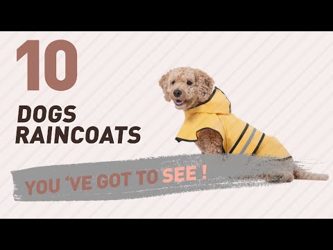 top-10-dogs-raincoats-products-//-pets-lover-channel