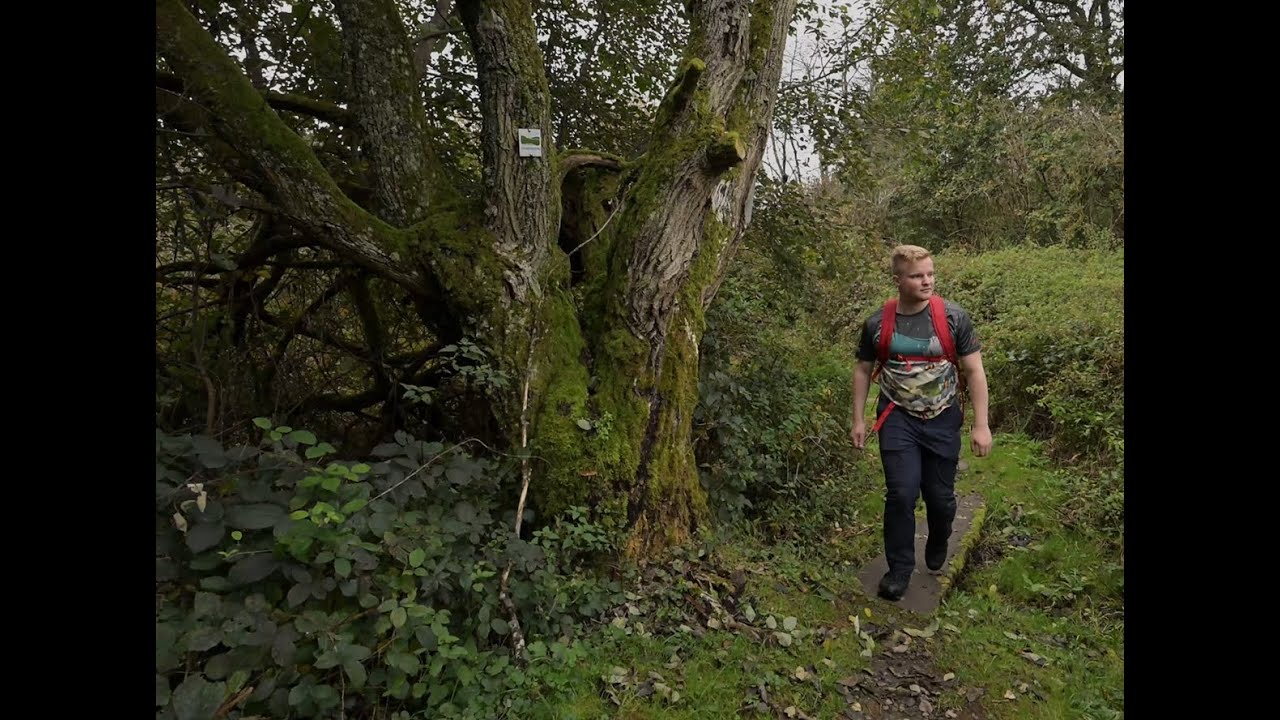 Silent Hiking in Germany | Schauinslandweg | Day Hikes