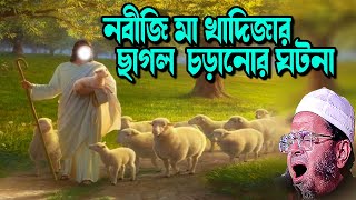 The incident of the Prophet's mother Khadija riding a goat Waz New Mufti Nasir Uddin Ansari New W...