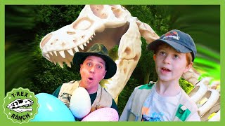 Giant T-Rex Dinosaur Surprise! T-Rex Ranch Dinosaur Videos