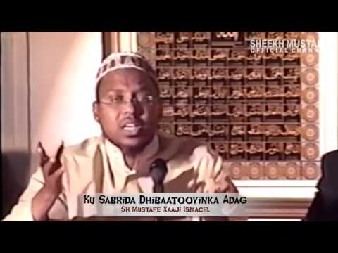 Ku Sabrida Dhibaatooyinka Adag - Sh. Academy of Managementtafe Xaaji Ismaaciil