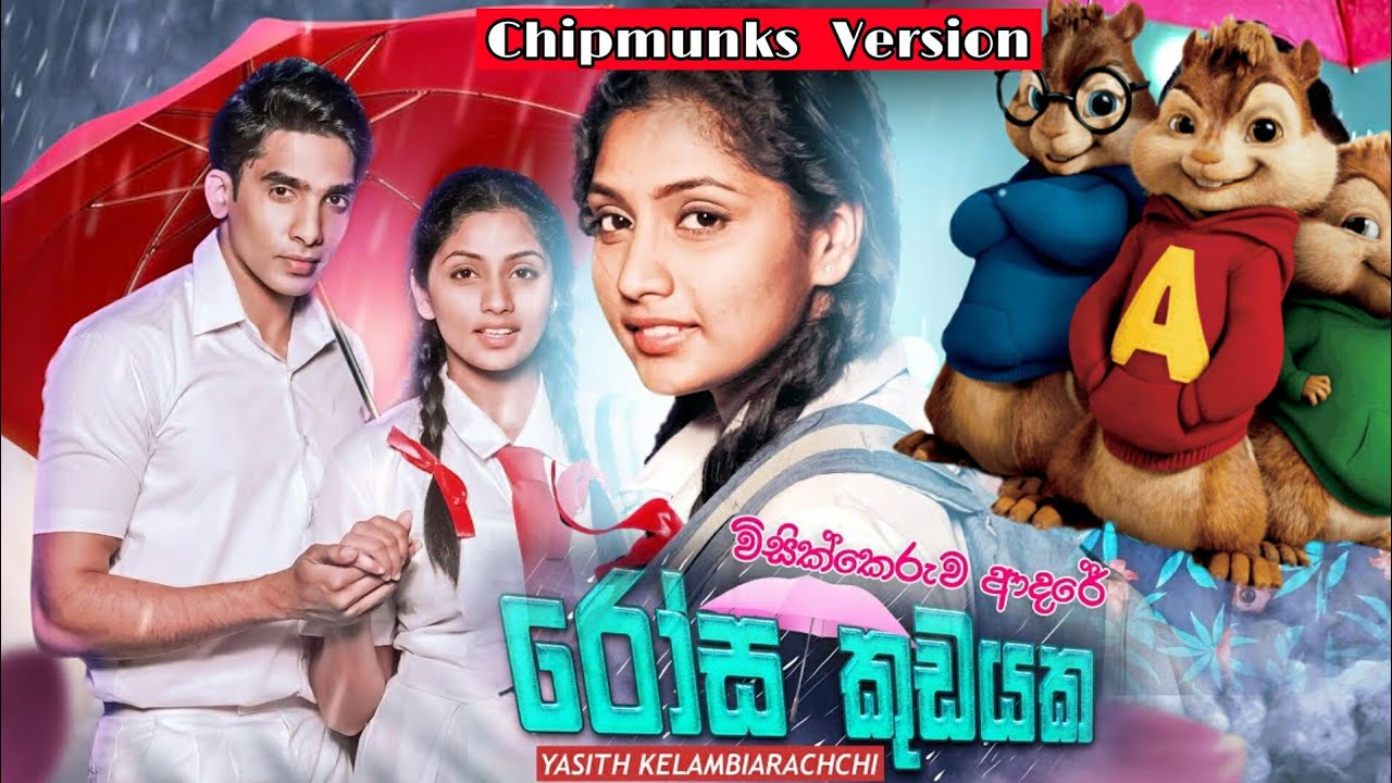 රෝස කුඩයක - Yasith Kelambiarachchi new music video | alvin version ...