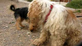 MVI_5967.AVI