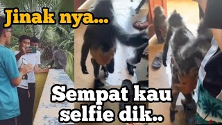 Gelagat Remaja Beri Makan Monyet || Lain Pulak Yang Berlaku...