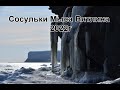 Мыс Вятлина , сосульки , январь 2022 год. остров Русский, Приморский край