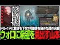 ドルイドに裁きを下せ!!可能性を秘めた闇の光線ウォロに希望を見出すSasatikk 【DAD】
