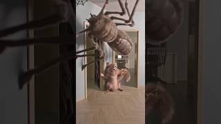Squirrel 🐿️ vs big spider 🕷️ #animals #funny #shorts #animation