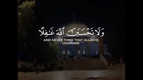 القارئ نايف فيصل | ارح سمعك.. تلاوة هادئة تريح القلب والعقل💙🎧