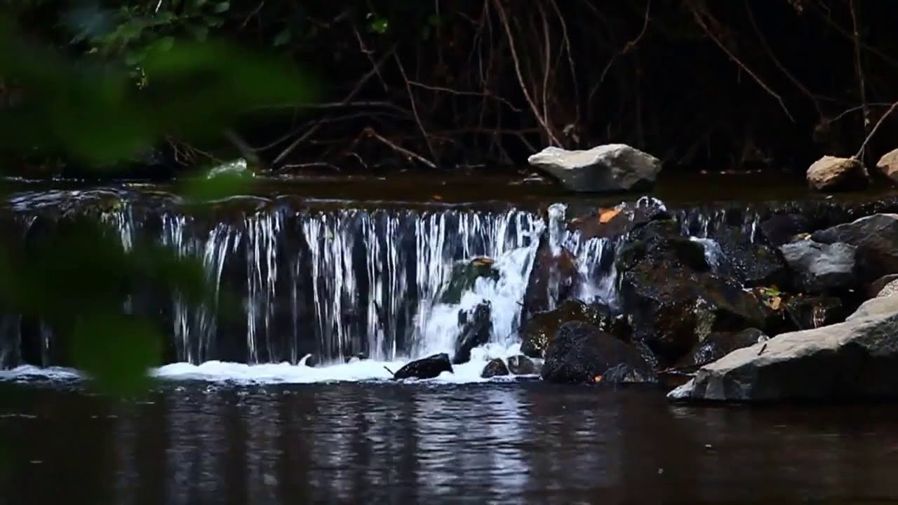 Calming Nature Sounds | Relaxing Waterfall Birdsong | Peaceful Sleep ...