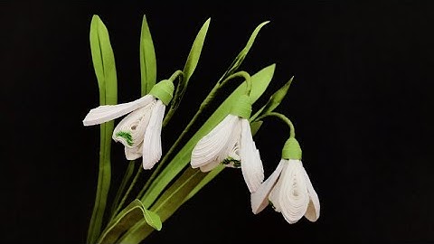 ABC TV | How To Make Snowdrop Flower | Paper Quilling - Craft Tutorial
