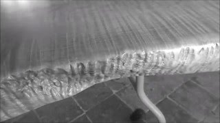 Amazing Pacific Quilted Maple Tabletop