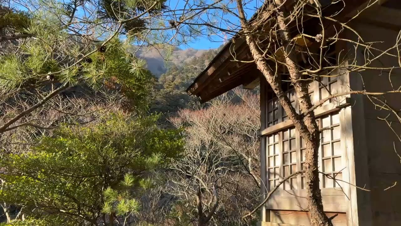 R8新春 雷神社から下社へ
