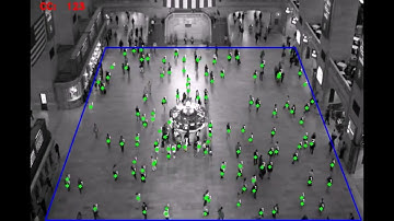 Crowd Counting | Object Tracking and Counting using YOLO Python