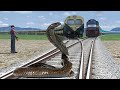 Three Trains vs  Snake and MAN :-: Stops the train --:-- BeamNG.Drive | Train simulator 2024