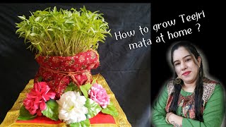 How to grow Teejri mata at home ?/ Teejri /teej/ Sindhi teejri/ sindhi festival screenshot 4