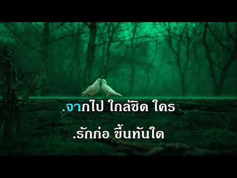 พันธุ์ไม้เลื้อย วินัย จุลบุษปะ สุนทราภรณ์ คาราโอเกะ The golden song karaoke เพลงเอก