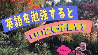 英語を勉強するとどんないいことがあるのか？という質問に答えました。#英語勉強法 #英語 #英語の勉強 #受験