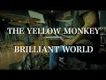 THE YELLOW MONKEY / BRILLIANT WORLD ドラム 叩いてみた