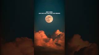 Baby Shark Doo Doo Doo - Ralan Styles