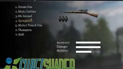 Call Of Duty Swift Shader 3 Working Without Directx Error