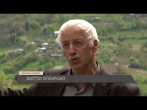 sofeli - kidzinidzeebi , Erti dge sofelshi - ქიძინიძეები(შუახევი)