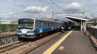 特急踊り子3号 伊豆箱根鉄道駿豆線 田京駅通過