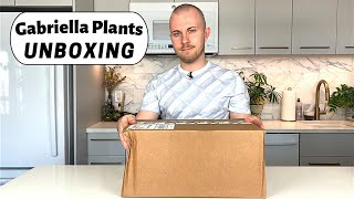 Gabriella Plants Houseplant Unboxing