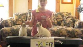 Kates Ipswitch Rocks Video