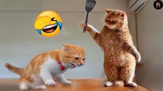 New Funny Animals 😂 Funniest Cats and Dogs Videos 😺🐶