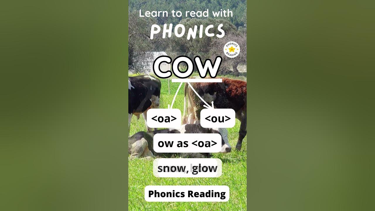 How To Spell COW With Phonics phonics kid englishlearning YouTube how-to-spell-cow-with-phonics-phonics-kid-englishlearning-youtube