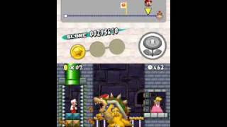 20110101 Unused Bowser Preview.avi