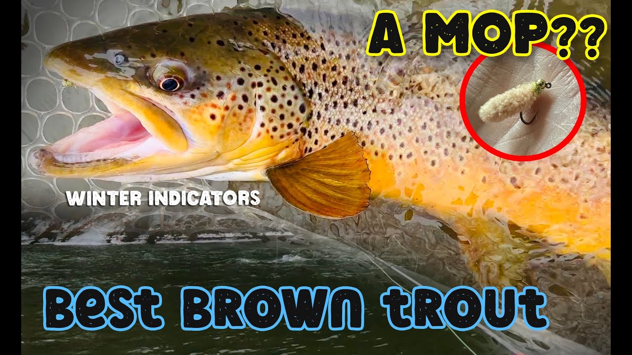 Ловушка Mop Fly помогла мне поймать самую крупную бурую форель | Зимняя рыбалка нахлыстом в север...