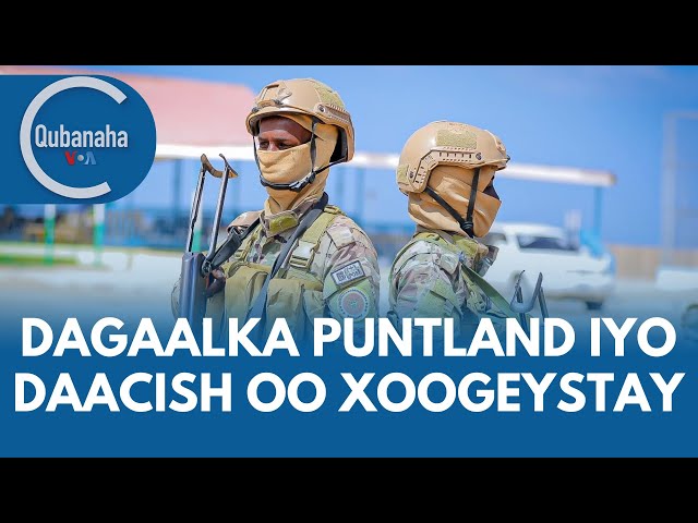 Olomon trannies bir odamni aylana boylab otib ketmoqda