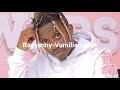 Vumilia by RayVanny Lyrics Video