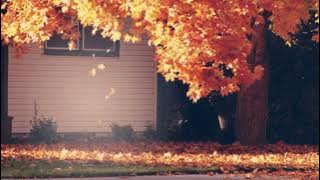 DEJA VU ── PIXIE MCCANN ── UNRELEASED, LIVELOOP ᯓ★