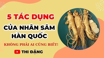 5 Tác Dụng Của Nhân Sâm Hàn Quốc Không Phải Ai Cũng Biết - Thi Đặng - ANaNa Nhân Sâm Korea