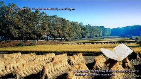 043. Az-Zukhruf  (The Gold Adornment) سورة الزخرف (Quran in Arabic and English)