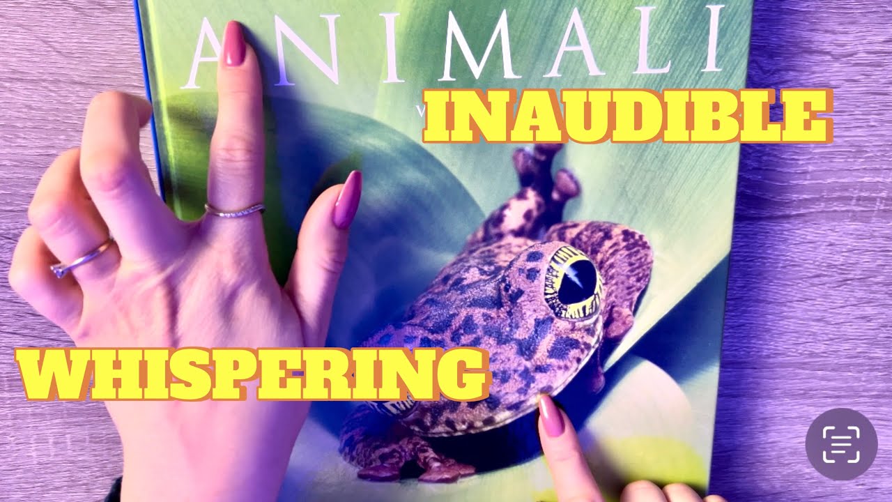 МЯГКОЕ ЧТЕНИЕ- 📖ШЕПОТ-НЕВНЯТНО. Устройтесь поудобнее и послушайте это расслабляющее чтение 😌