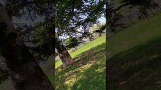 Pamplona Navarra - Barañáin