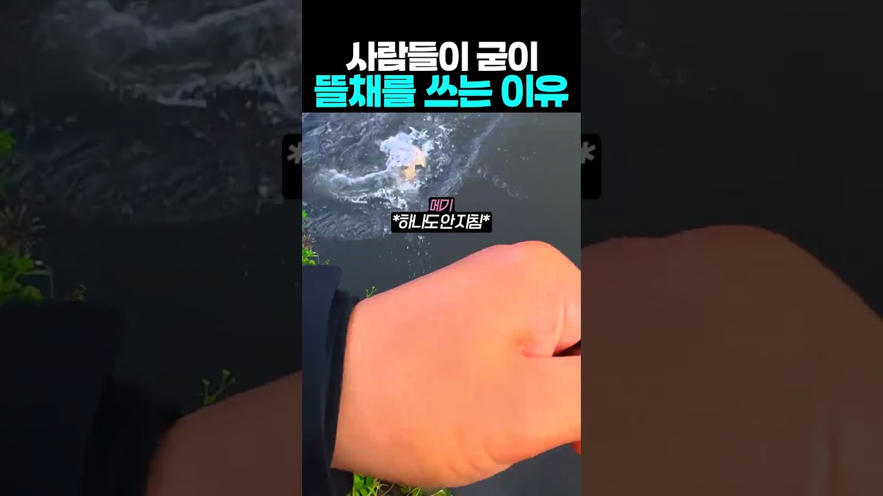 사람들이 굳이 뜰채를 쓰는 이유