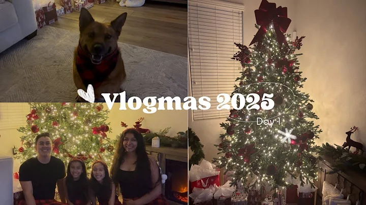 Vlogmas 2025 Day 1 - Tree Set up, Decorating, Gift Wrapping / The Flores Family
