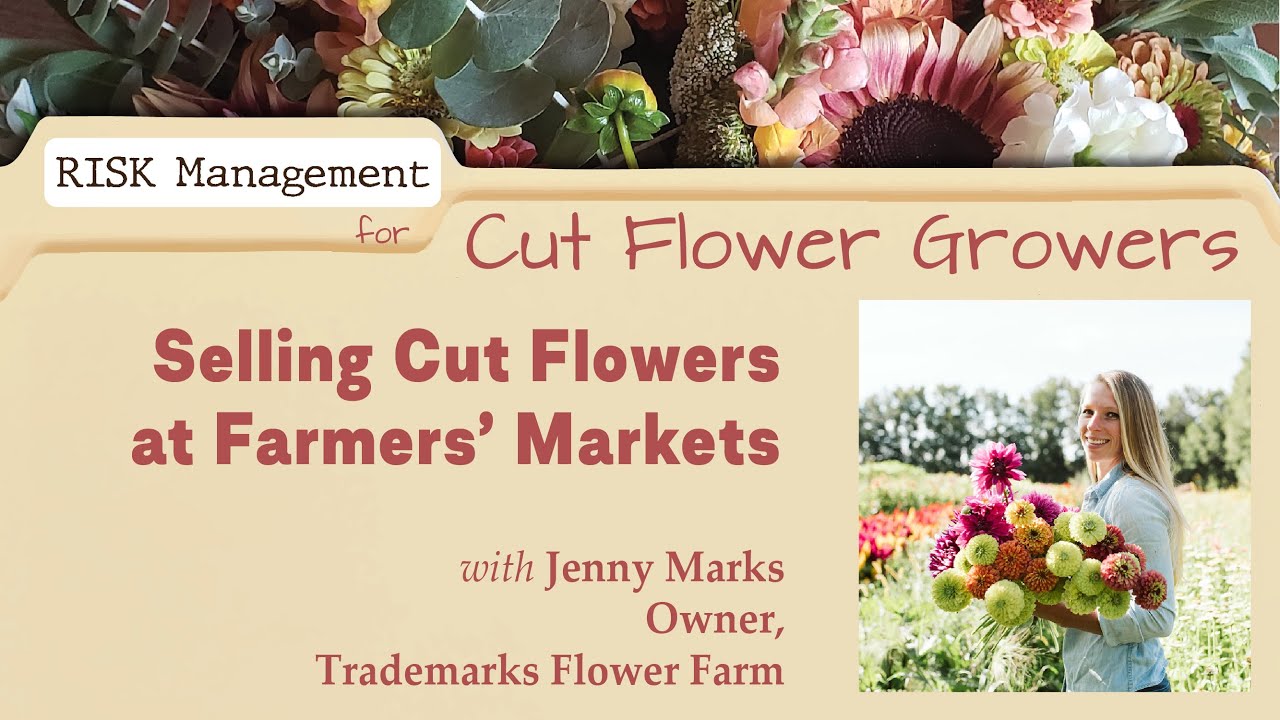 Selling Cut Flowers at Farmers' Markets with Jenny Marks of Trademarks