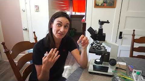 Soil Biology Microscope PRO TIPS with Katharine Hinson | REGENERATIVE SOIL