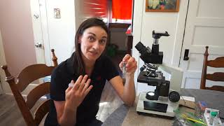 Soil Biology Microscope PRO TIPS with Katharine Hinson | REGENERATIVE SOIL